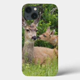 Etui iPhone Case-Mate Cerf Mule Biche avec Faon