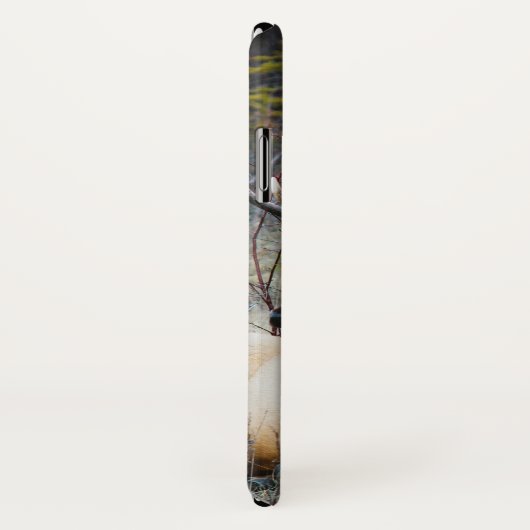 Coques Case-Mate iPhone Cerfs communs (Dos/Droite)