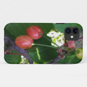 Coques Case-Mate iPhone Cerises rougissantes (Dos (Horizontal))