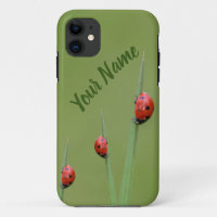 Ces petits coccinelles donnent un jour de chance !