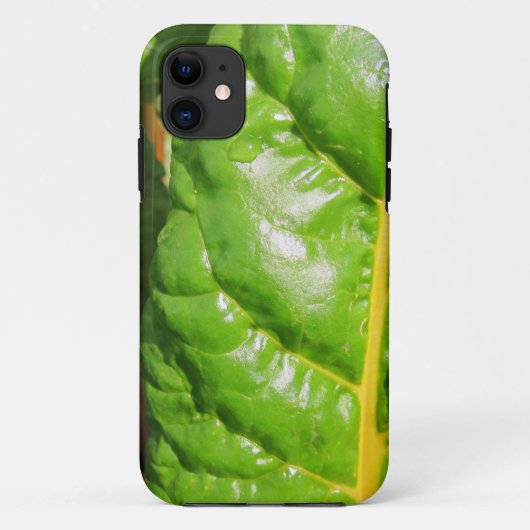 Coques Case-Mate iPhone Chaînes suisses (Dos)