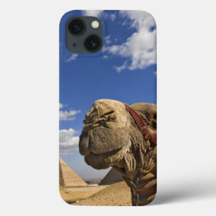 iPhone 13 Case Chameau devant les pyramides de Gizeh, Egypte,