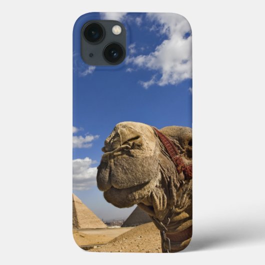 Coques Case-Mate iPhone Chameau devant les pyramides de Gizeh, Egypte, (Verso)