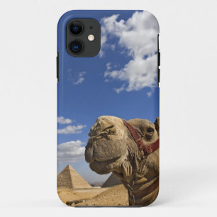 Coque Case-Mate Pour iPhone Chameau devant les pyramides de Gizeh, Égypte,