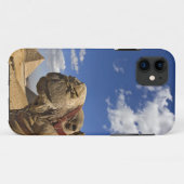 Coques Case-Mate iPhone Chameau devant les pyramides de Gizeh, Égypte, (Dos (Horizontal))