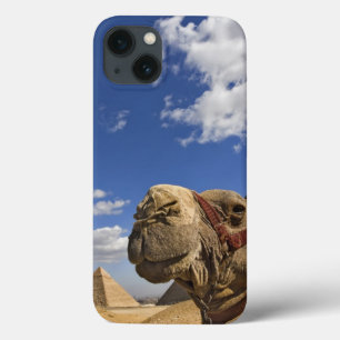 iPhone 13 Coque Chameau devant les pyramides de Gizeh, Egypte,