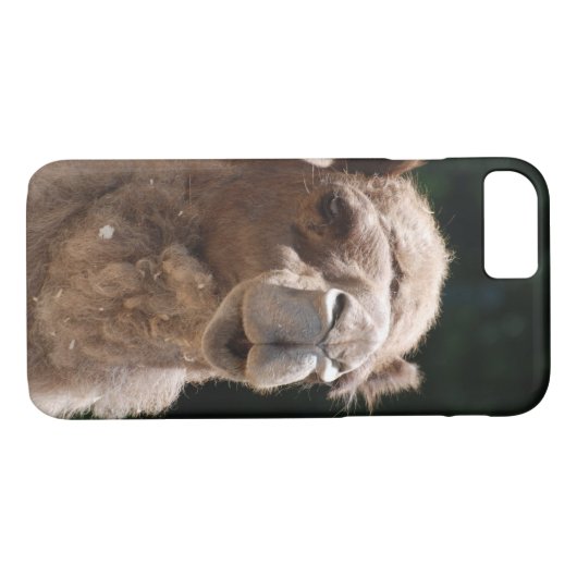 Coques Case-Mate iPhone Chameau mignon (Dos (Horizontal))