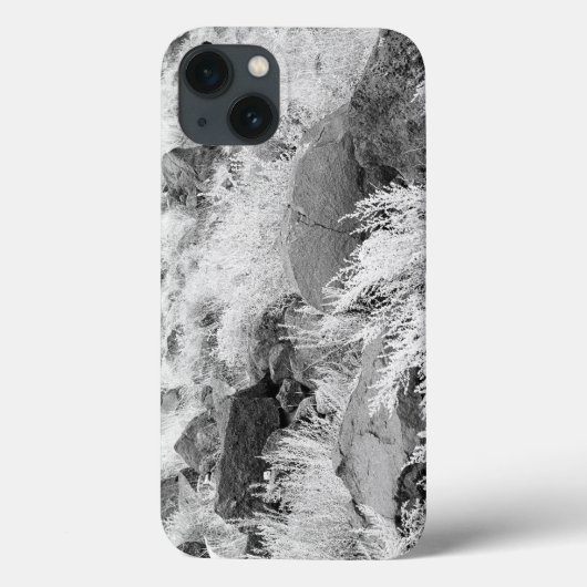 Coques Case-Mate iPhone Champ de Basalte (Verso)
