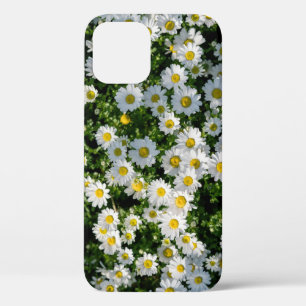 Case-Mate iPhone Case Champ de marguerite du printemps : Arrière - plan