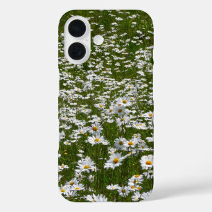 Coques iPhone 16 Champ de marguerites Fleurs sauvages de l'Alaska
