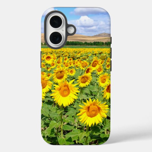 Coques Case-Mate iPhone Champ de tournesols (Verso)