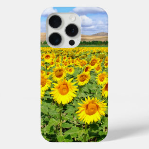 Coque iPhone 15 Pro Champ de tournesols