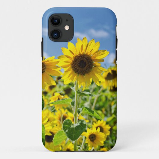 Coques Case-Mate iPhone Champ de tournesols (Dos)