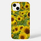 Coques Case-Mate iPhone Champ de tournesols jaunes (Verso)