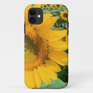 Case-Mate iPhone Case Champ de tournesols. Région de Heidleberg