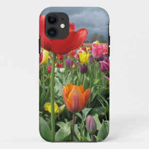 Coque iPhone 11 Champ de tulipes