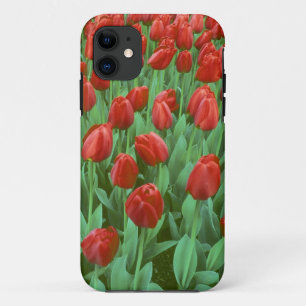 Coques Pour iPhone Champ de tulipes en fleurs au printemps.