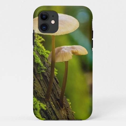 Coques Case-Mate iPhone Champignons, champignons, mousses (Dos)