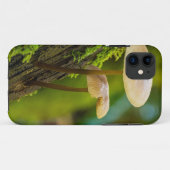 Coques Case-Mate iPhone Champignons, champignons, mousses (Dos (Horizontal))
