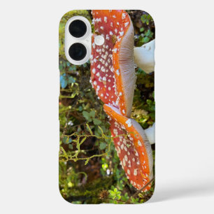 Coques iPhone 16 Champignons de contes Fairytale