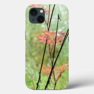 Case-Mate iPhone Case Changement de saison, Feuilles d'automne en champ