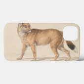 Coques Case-Mate iPhone Charles Hamilton Smith - Loup des îles Falkland (Verso (horizontal))