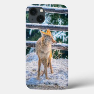 iPhone 13 Coque Chasse au coyote dans la neige sur Ranch - Photo F