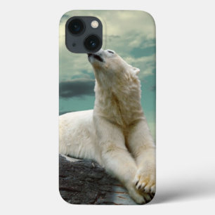 iPhone 13 Coque Chasseur blanc d'ours blanc sur la roche