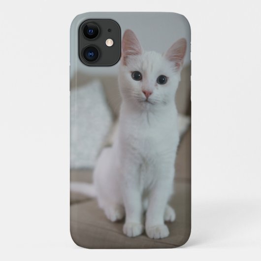 Coques Case-Mate iPhone chat américain à poil court blanc (Dos)
