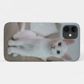 Coques Case-Mate iPhone chat américain à poil court blanc (Dos (Horizontal))