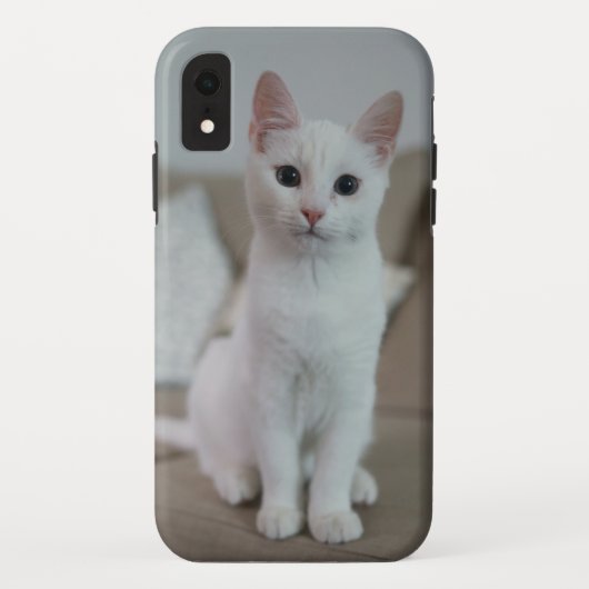 Coques Case-Mate iPhone chat américain blanc à poil court (Dos)