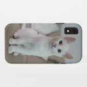 Coques Case-Mate iPhone chat américain blanc à poil court (Dos (Horizontal))