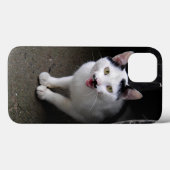 Coques Case-Mate iPhone Chat avec Moustache (Verso (horizontal))