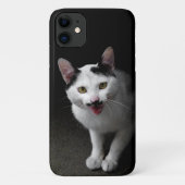 Coques Case-Mate iPhone Chat avec Moustache (Dos)