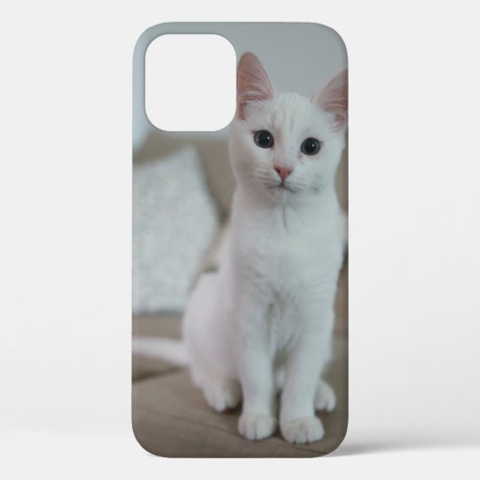 Coques Case-Mate iPhone chat blanc | Zazzle_Growshop. (Verso)