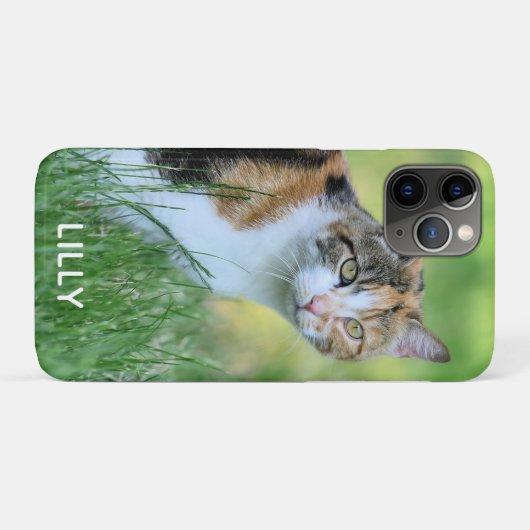 Coques Case-Mate iPhone chat Brown et blanc (Dos (Horizontal))