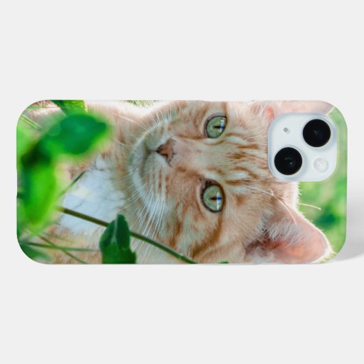 Coques Case-Mate iPhone Chat dans la nature (Verso (horizontal))