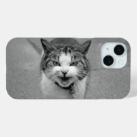 Chat de crabe au visage de Jouet agacé
