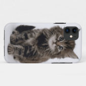 COQUES Case-Mate iPhone CHAT DE LA CUISINE (Dos (Horizontal))