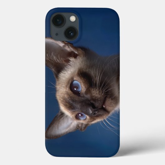 Coques Case-Mate iPhone Chat de Siamese avec les yeux bleus (Verso)