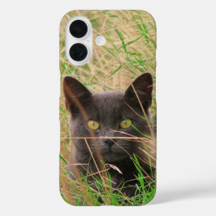 Coques iPhone 16 Chat gris foncé qui sort de l'herbe haute