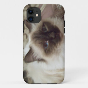 Coques Pour iPhone Chat I-Phone case