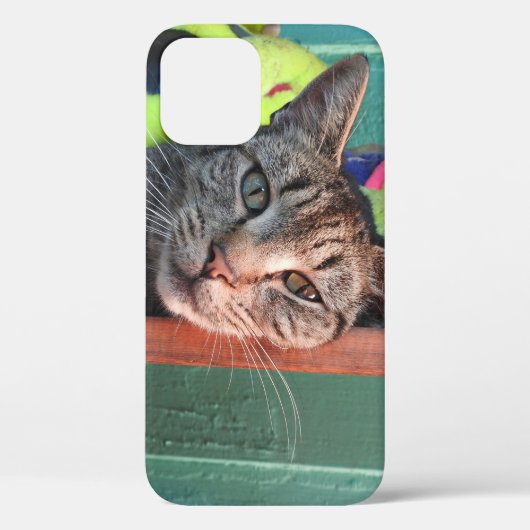Coques Case-Mate iPhone Chat Love (Verso)