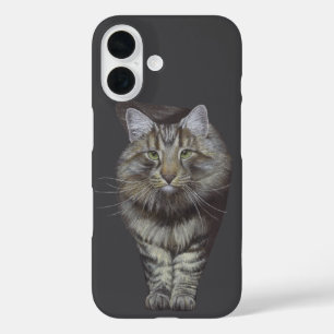 Coques iPhone 16 Chat Maine Coon