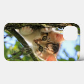Coques Case-Mate iPhone Chat, Nature, Kitten (Verso (horizontal))