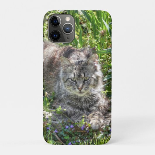 Coques Case-Mate iPhone Chat pendant l'éclipse (Dos)