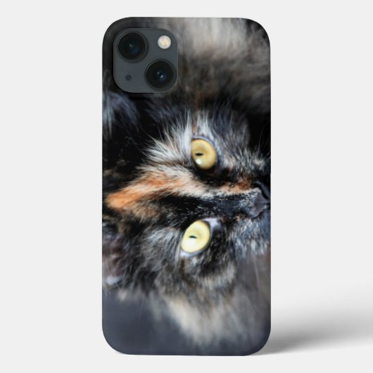 Coques Case-Mate iPhone Chat sibérien (Verso)