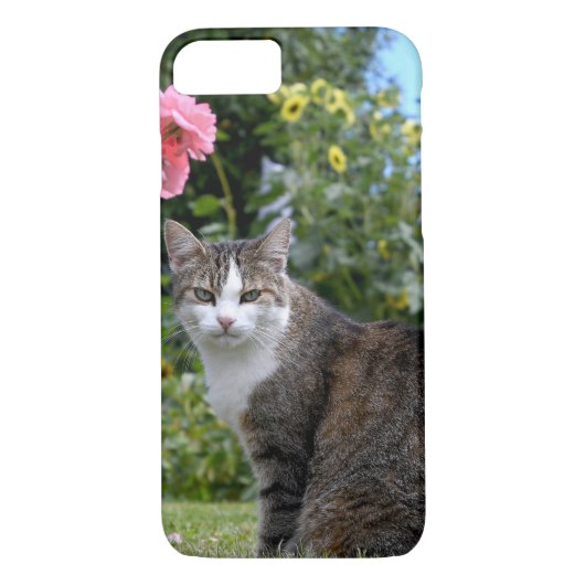 Coques Case-Mate iPhone chat tabby dans la cour (Dos)