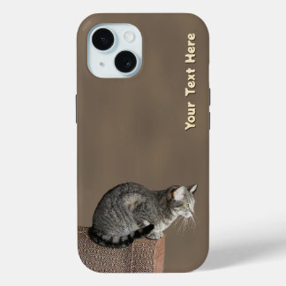 Coque Pour iPhone 15 Chat Tabby Gris Fumé