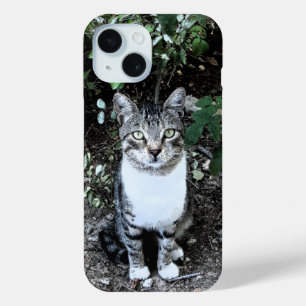 COQUE POUR iPhone 15 CHAT TURQUE NOIR ET BLANC RONIN